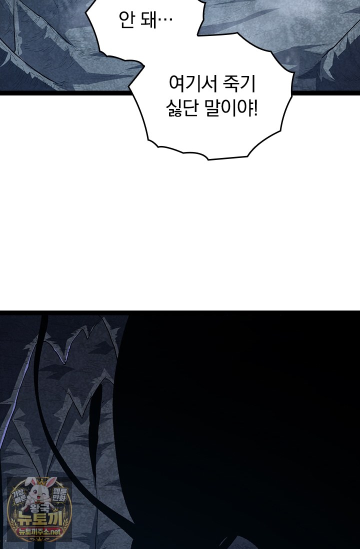 009.jpg