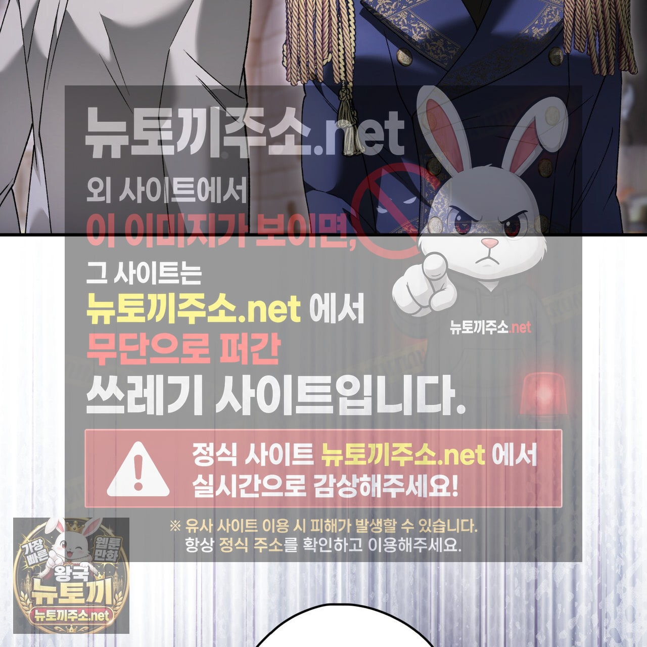 221.jpg