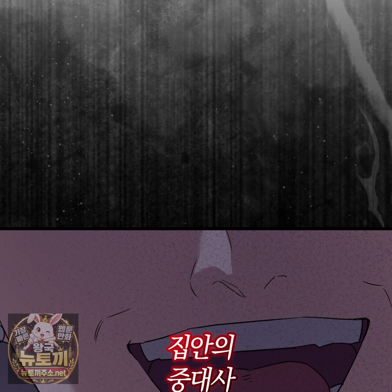 217.jpg