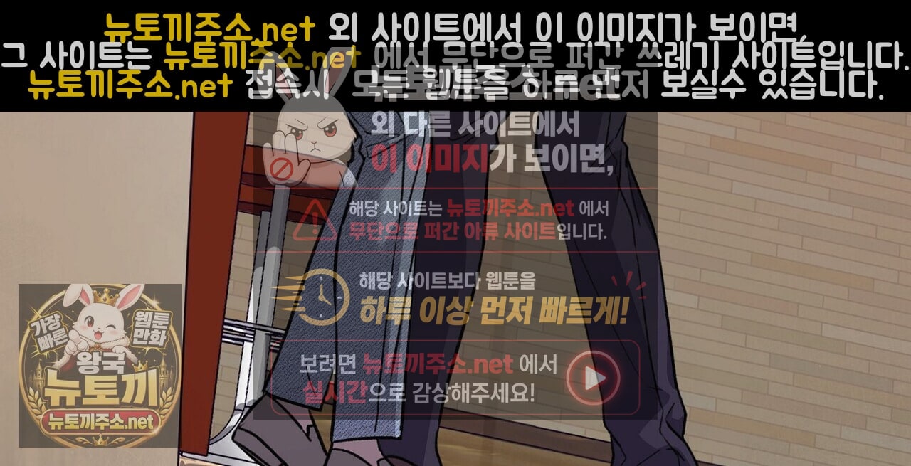 224.jpg