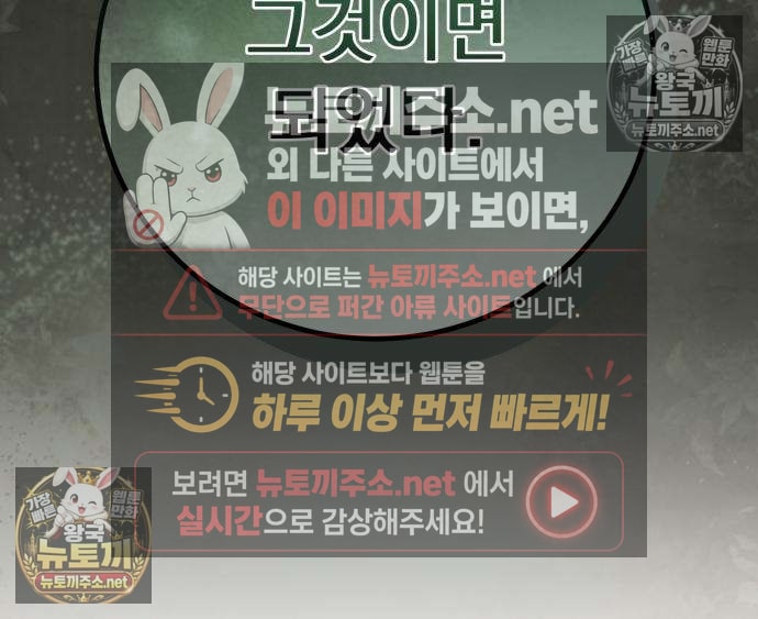 204.jpg