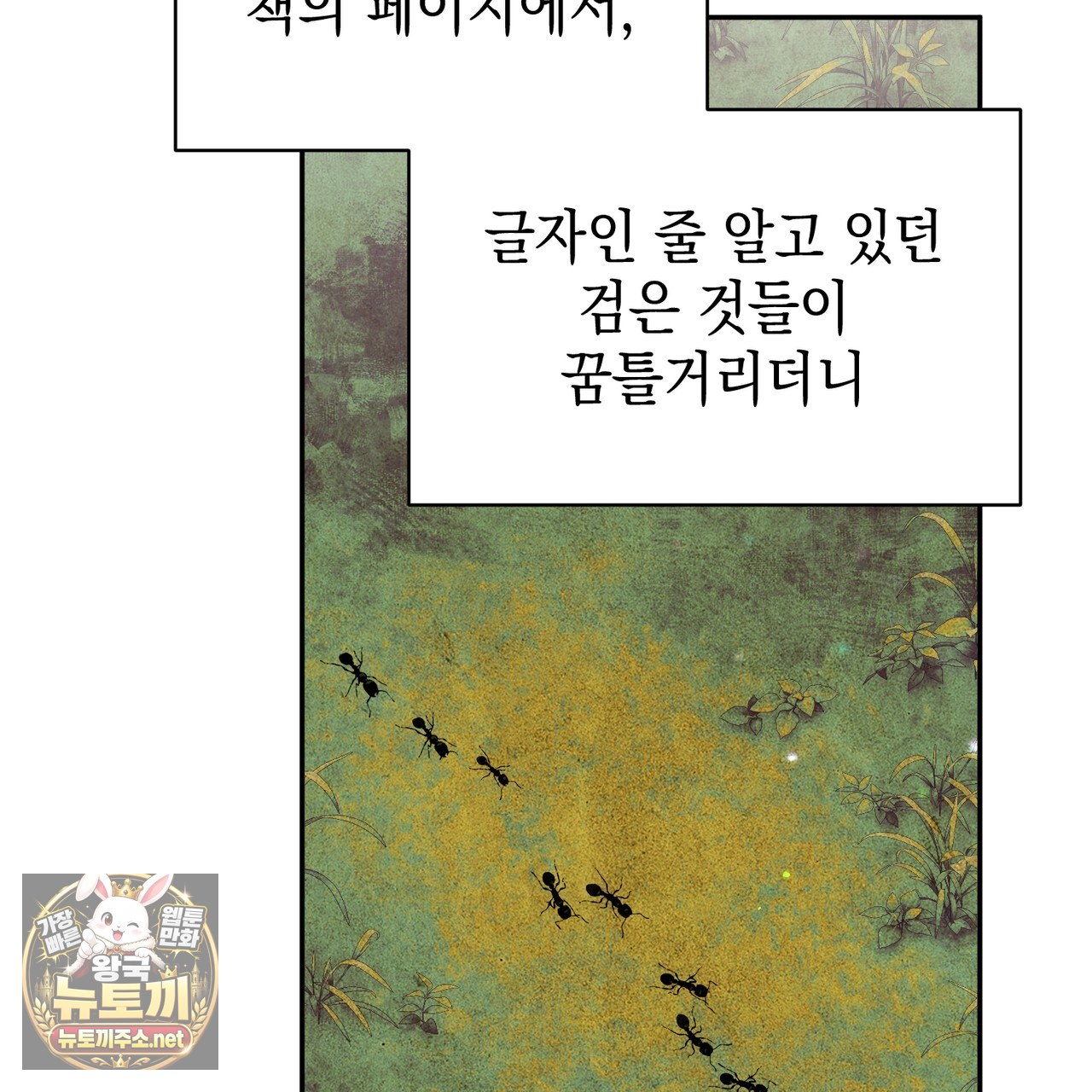 115.jpg