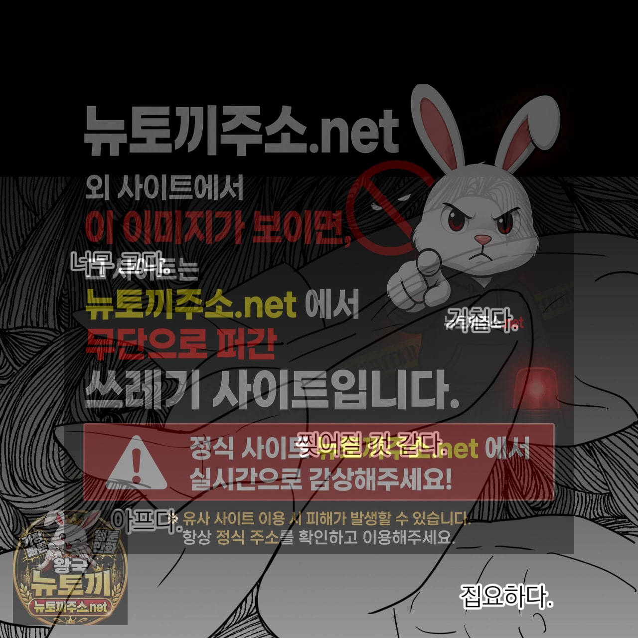 005.jpg