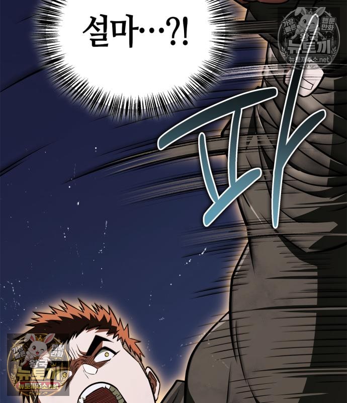 176.jpg