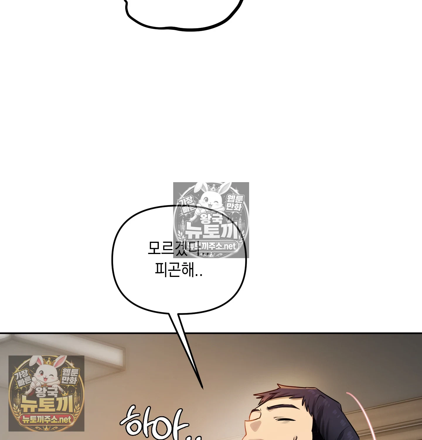 102.jpg
