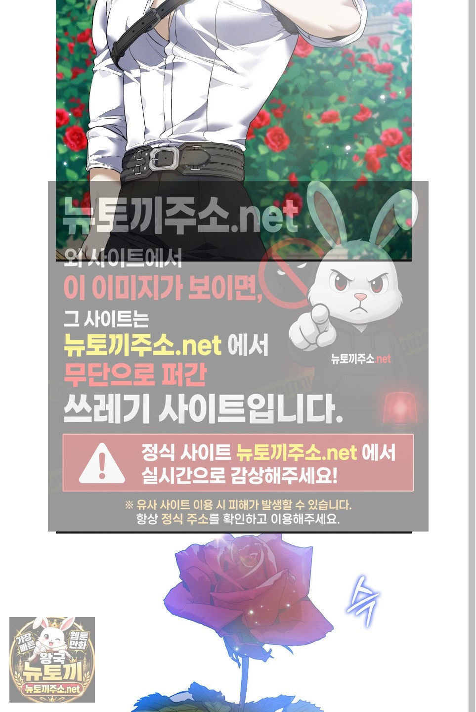 005.jpg