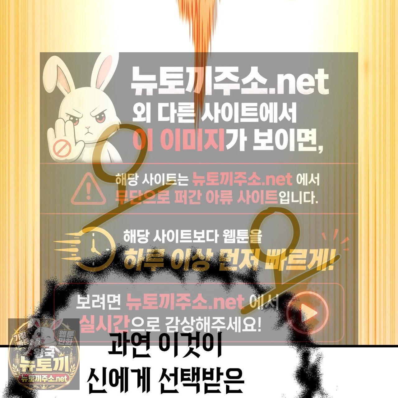 101.jpg
