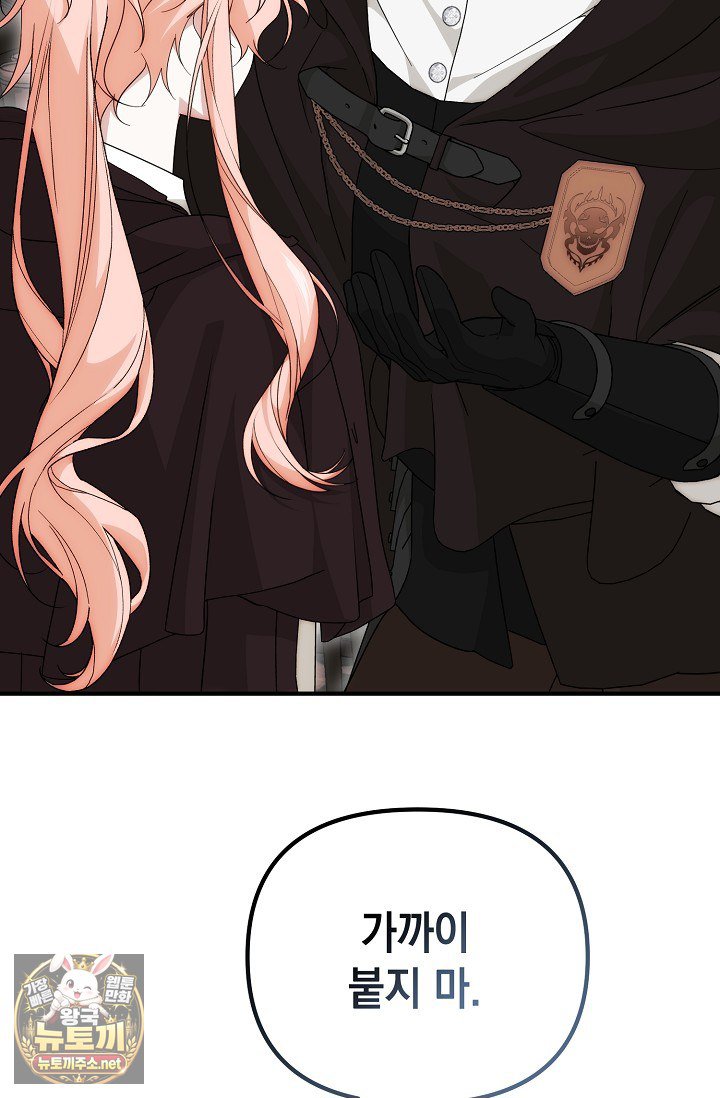 005.jpg