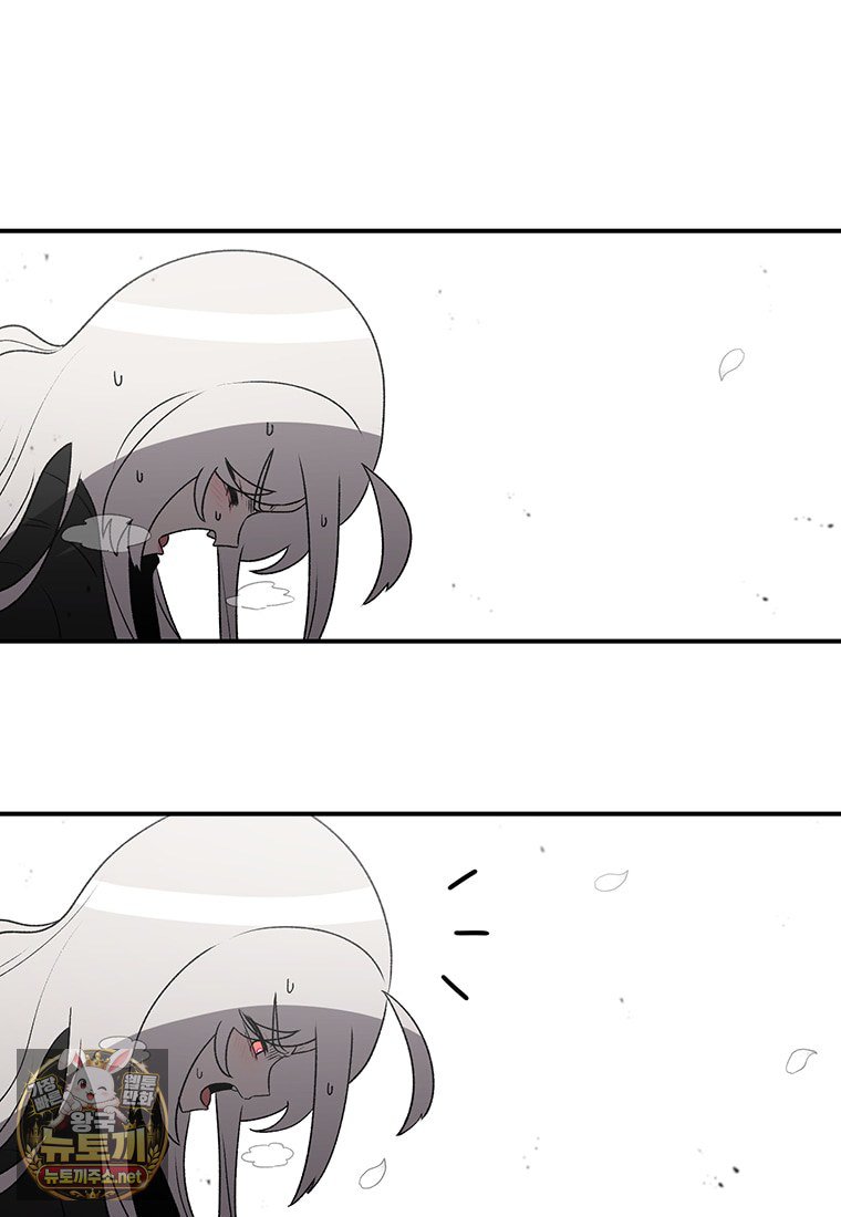 213.jpg