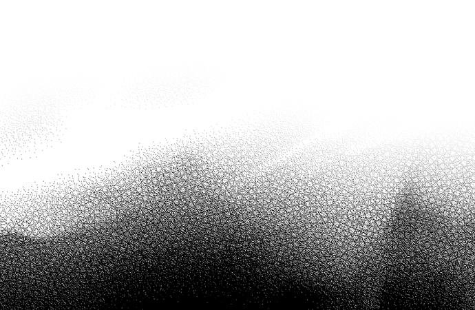 036.jpg