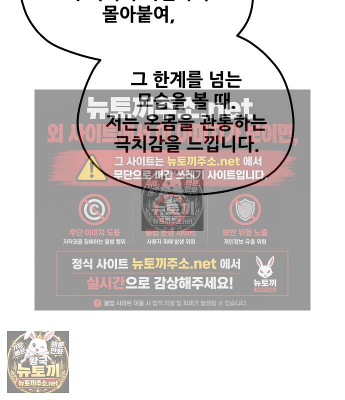 242.jpg