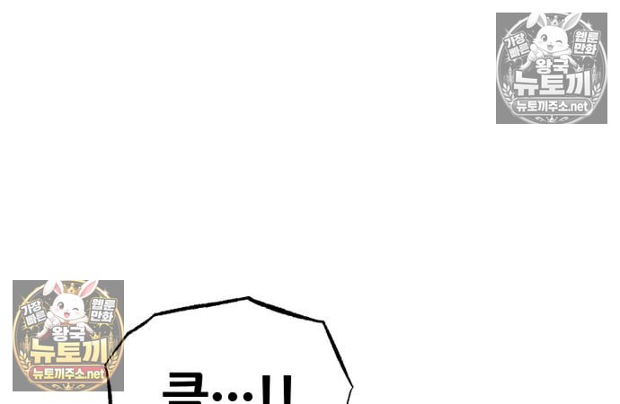 224.jpg