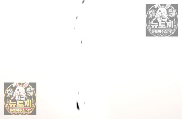113.jpg