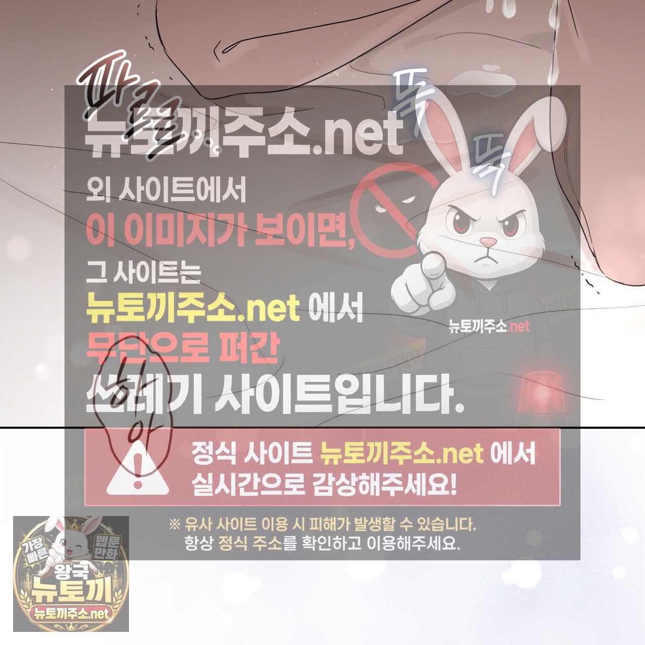 101.jpg