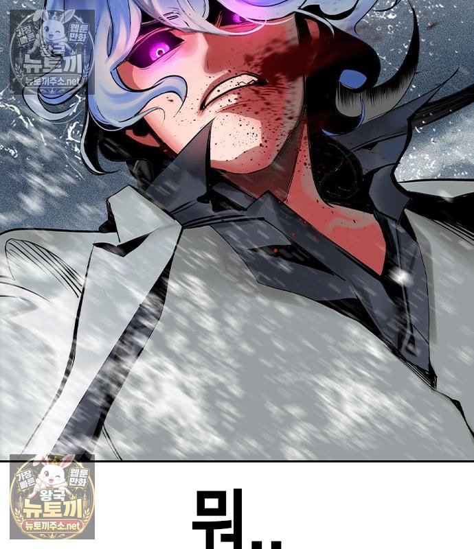 245.jpg