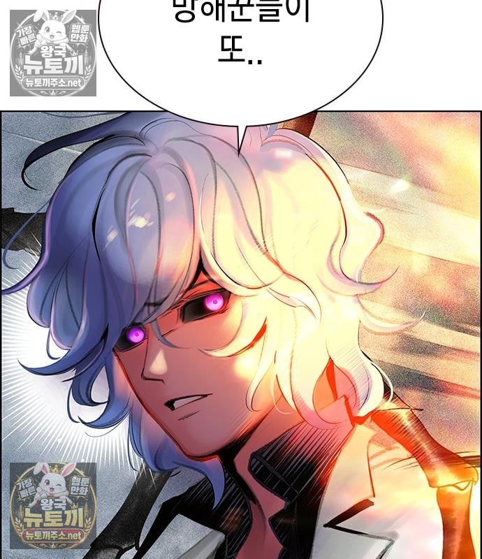223.jpg