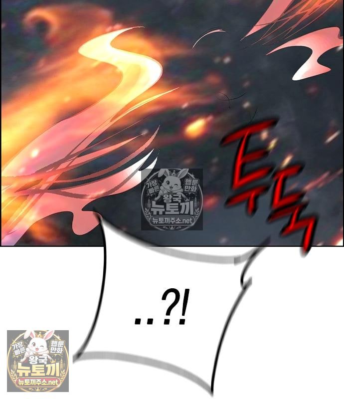 176.jpg