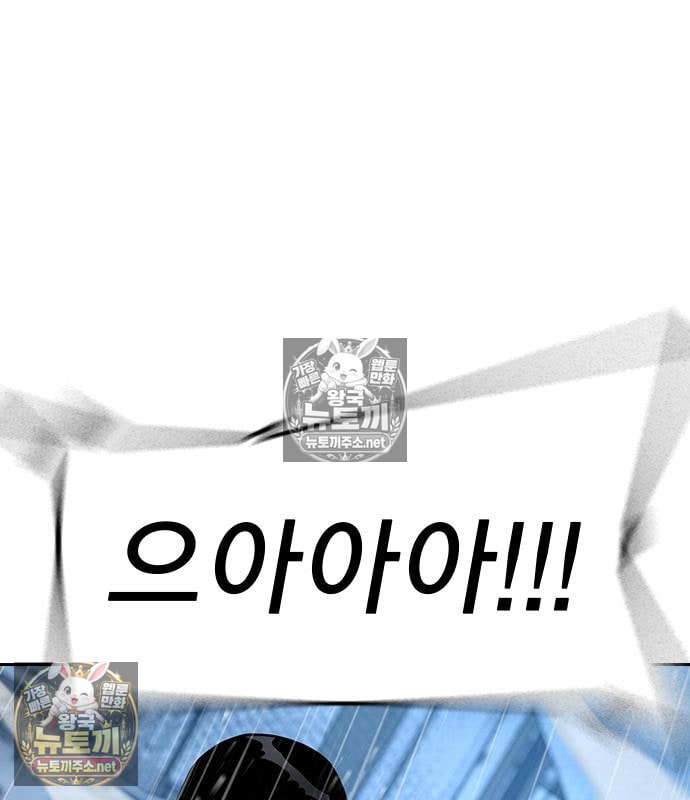 237.jpg