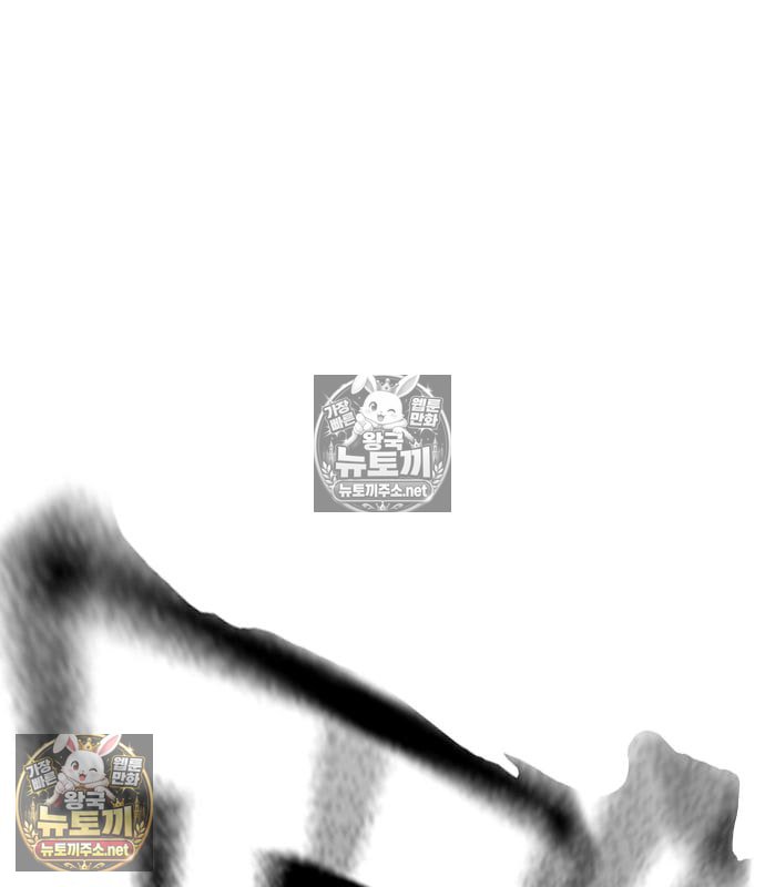 245.jpg