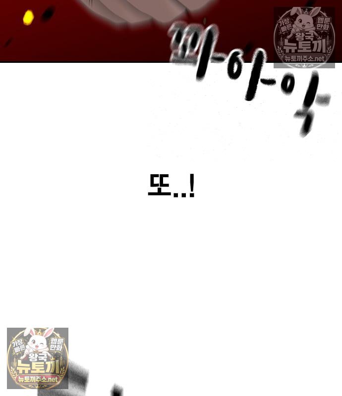 255.jpg
