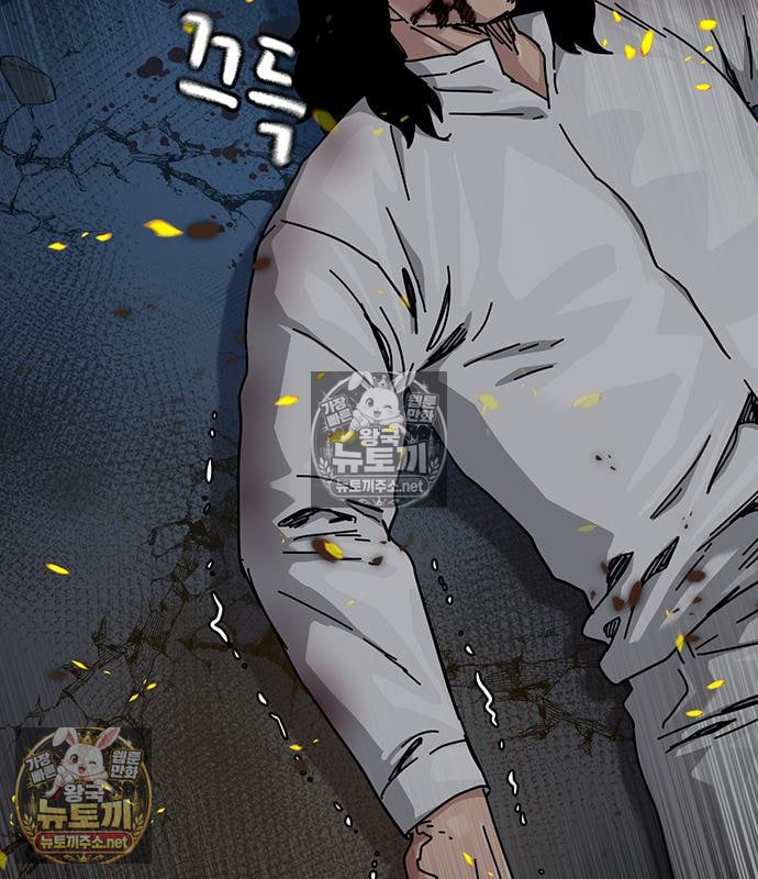 213.jpg