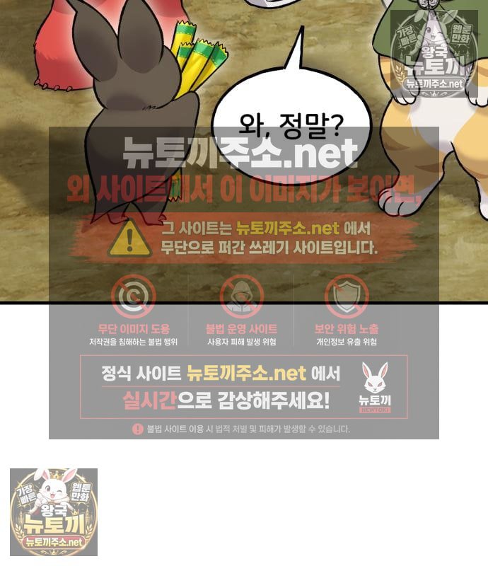 113.jpg