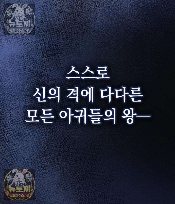 224.jpg