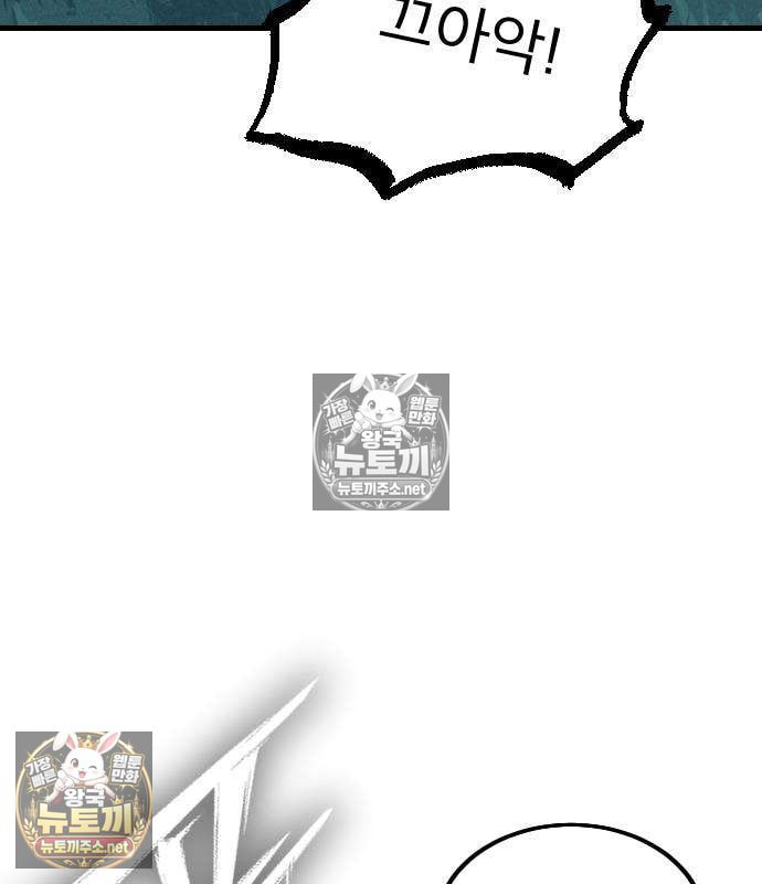 142.jpg