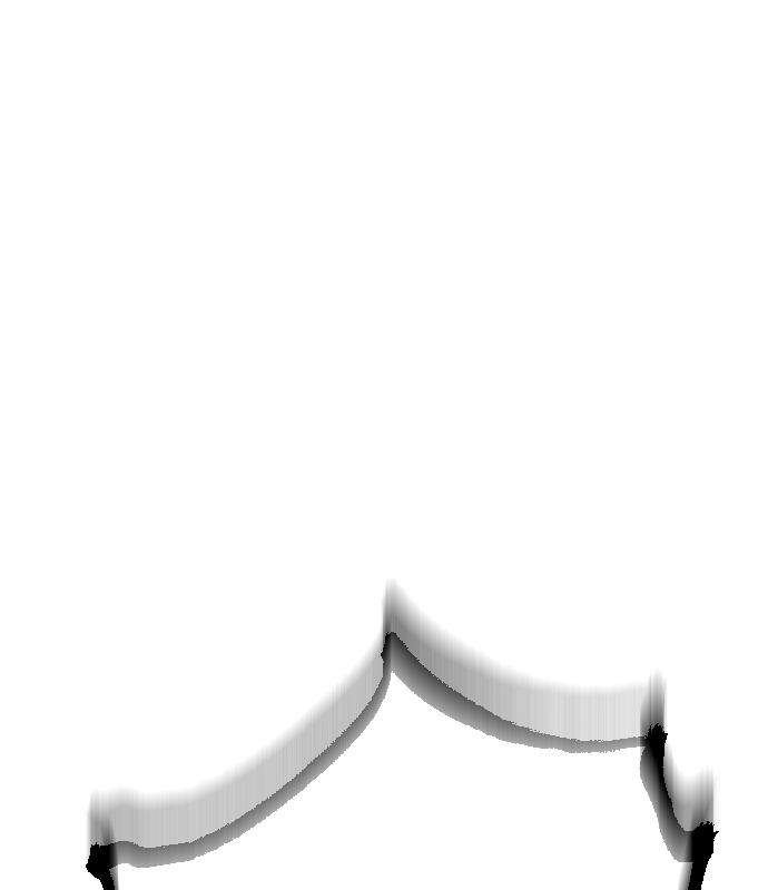 255.jpg
