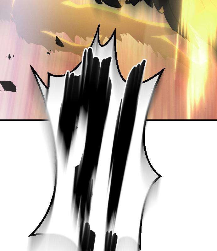 242.jpg