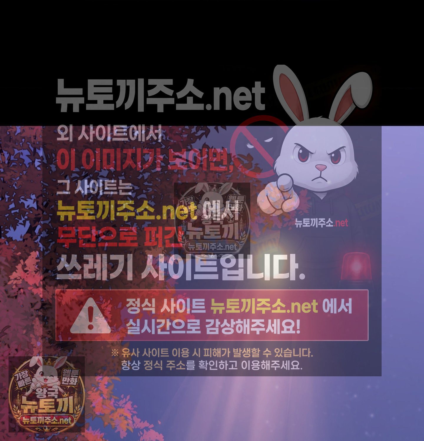 081.jpg