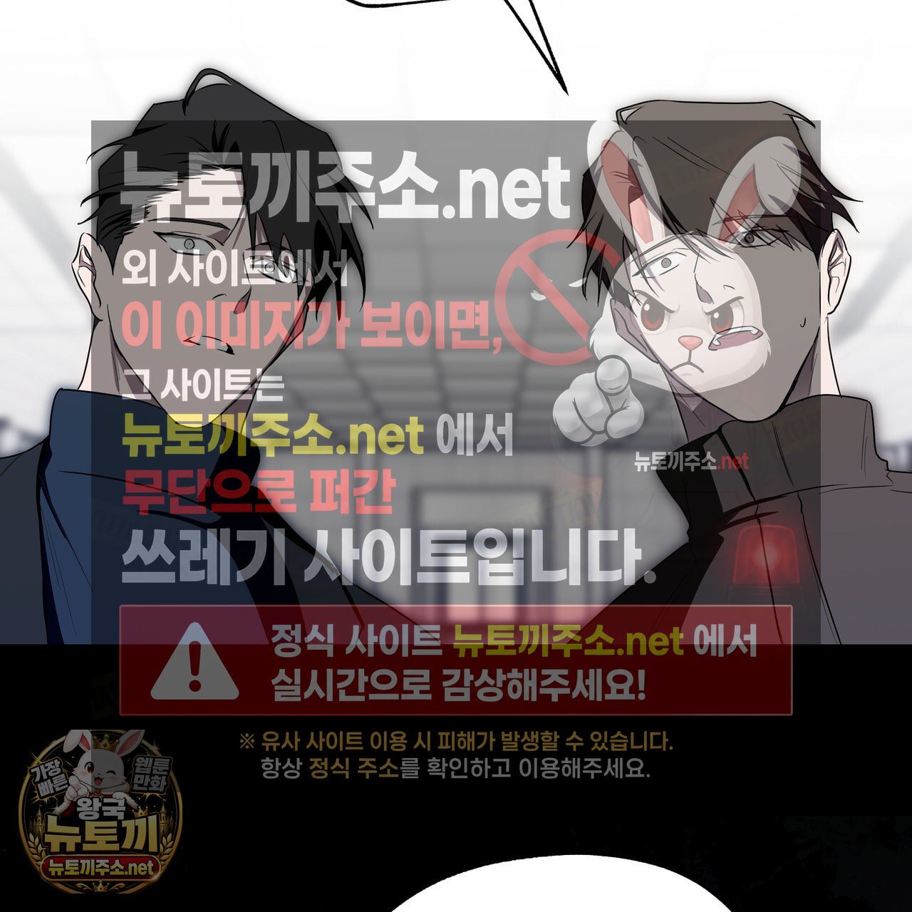 113.jpg