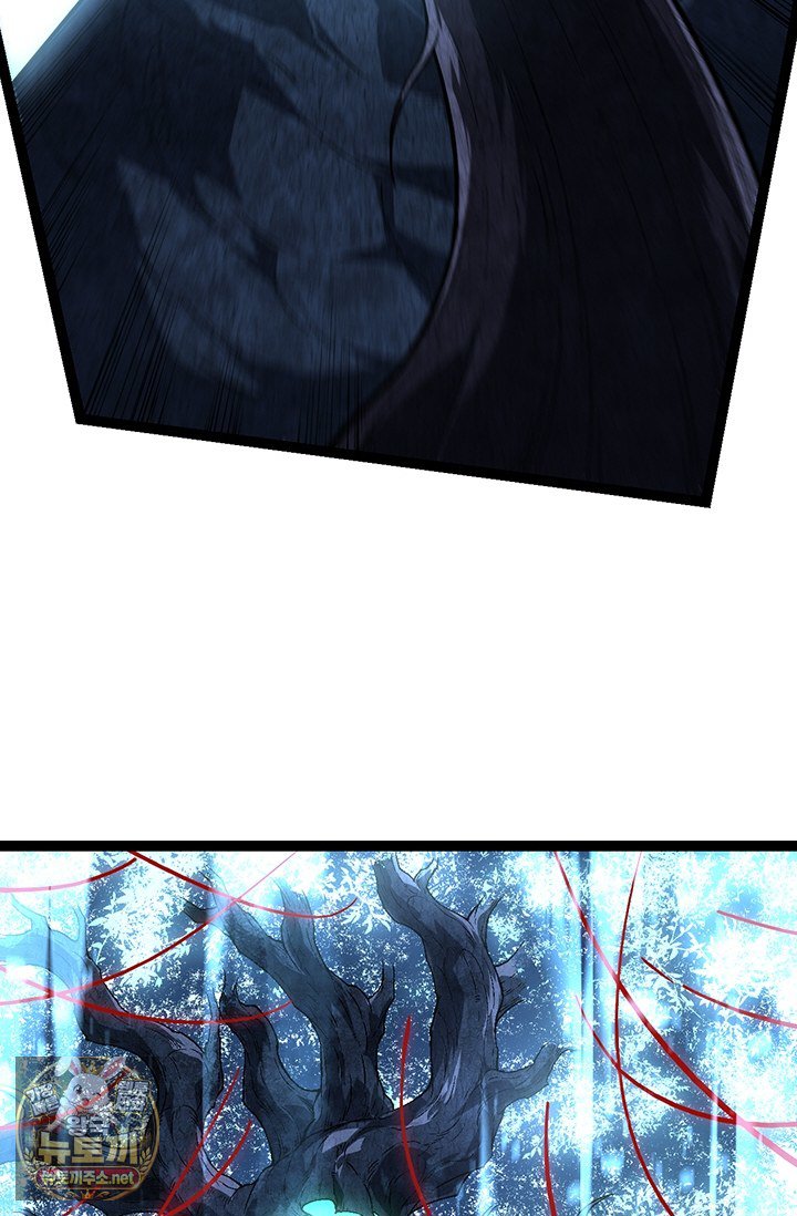 009.jpg
