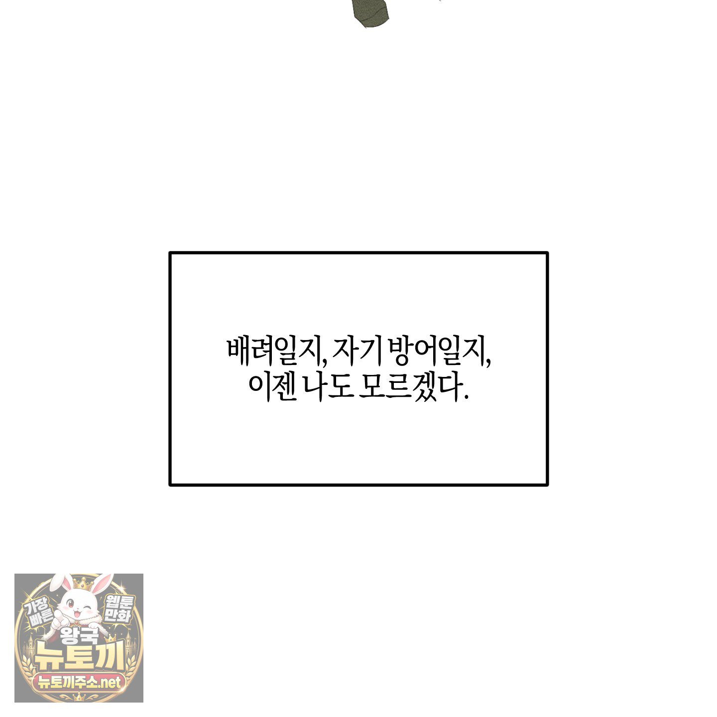 113.jpg