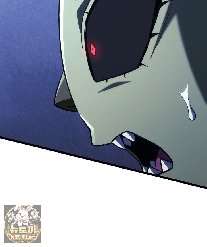 146.jpg
