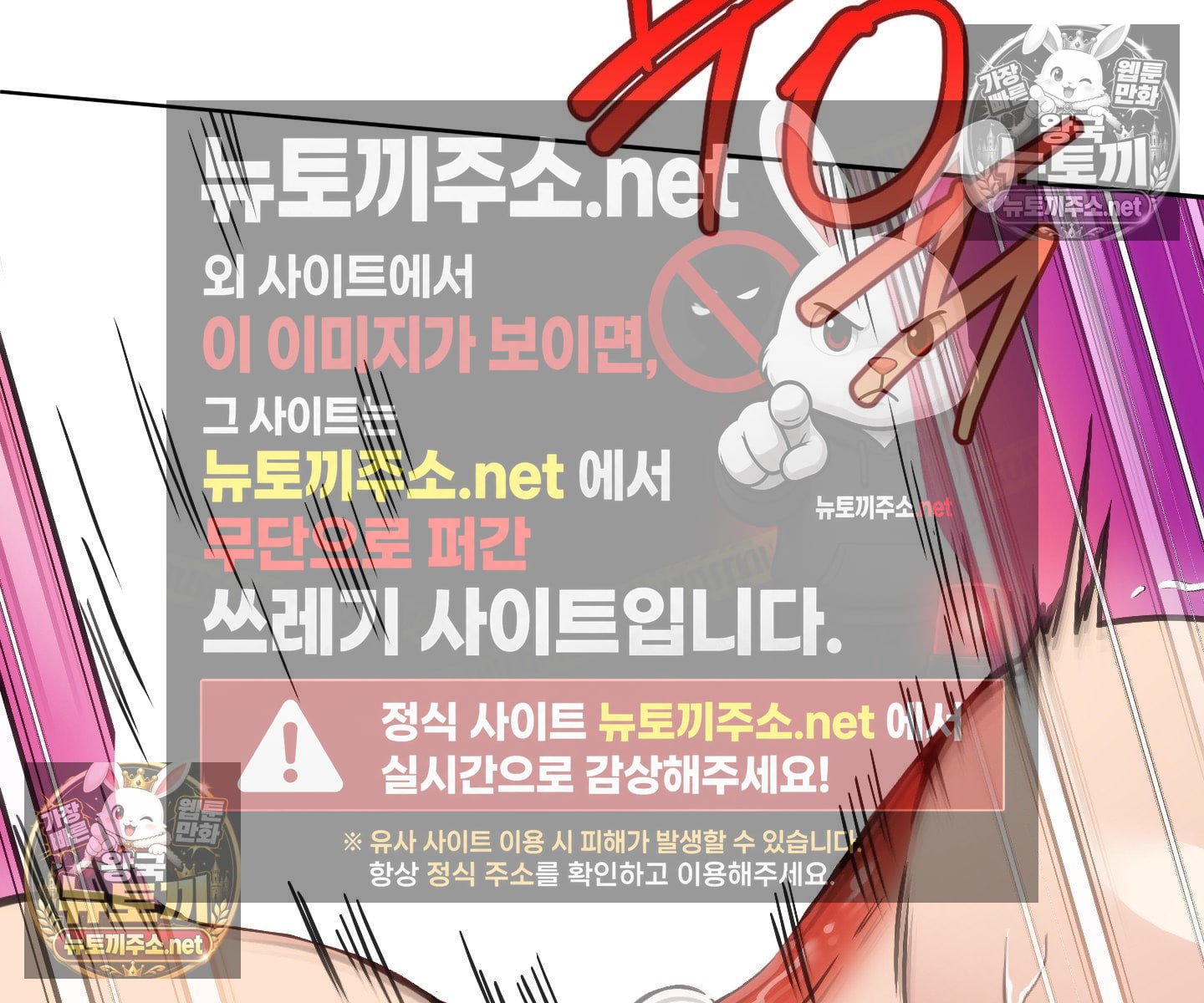 113.jpg