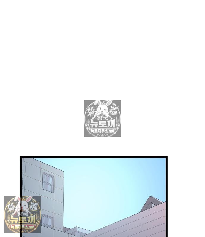 255.jpg