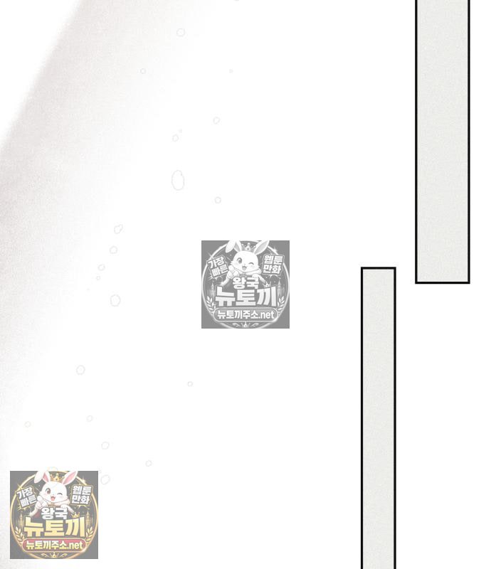 113.jpg