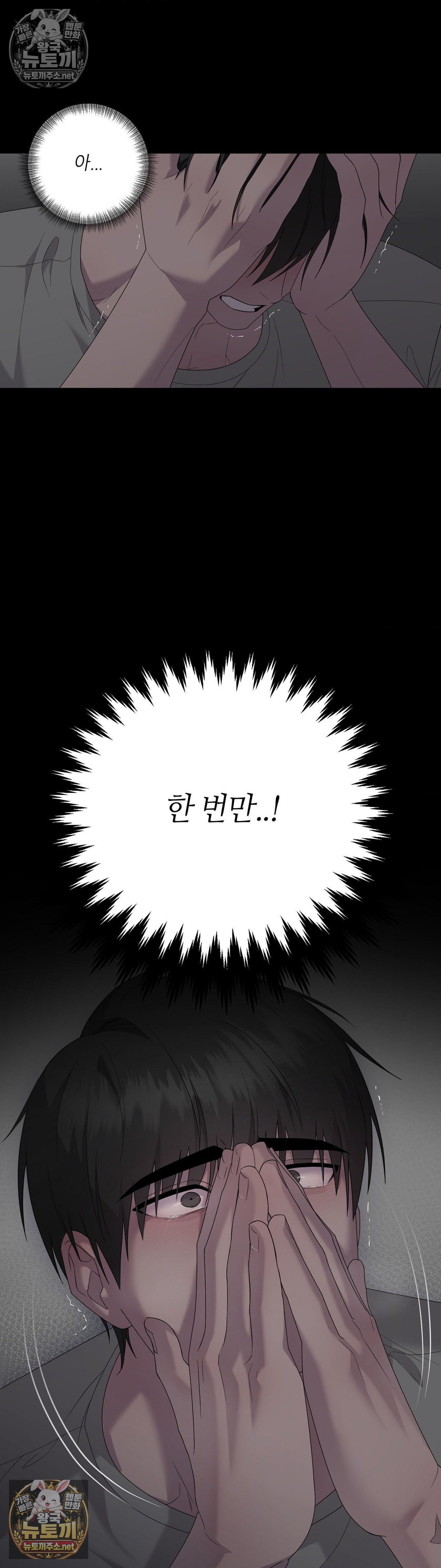 008.jpg