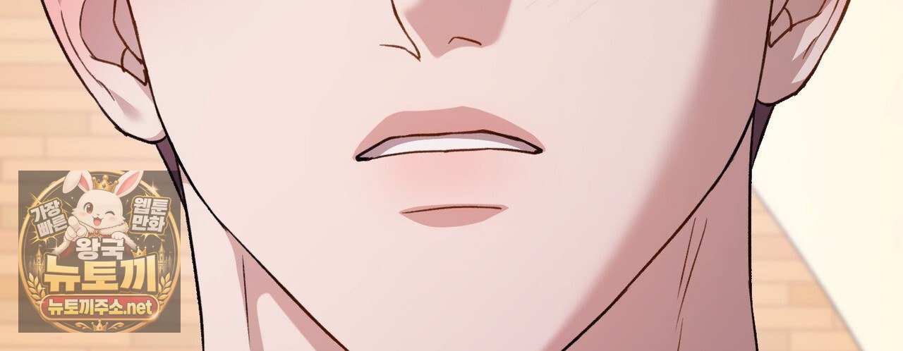 242.jpg