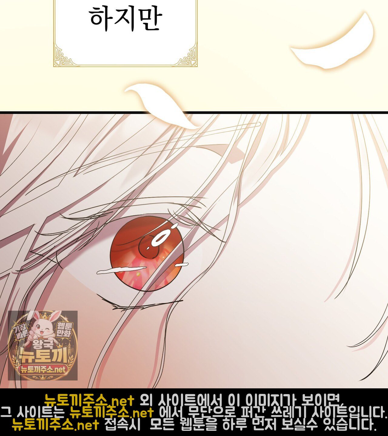 144.jpg