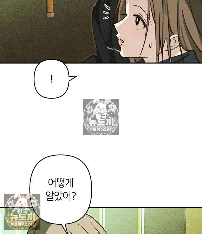 133.jpg