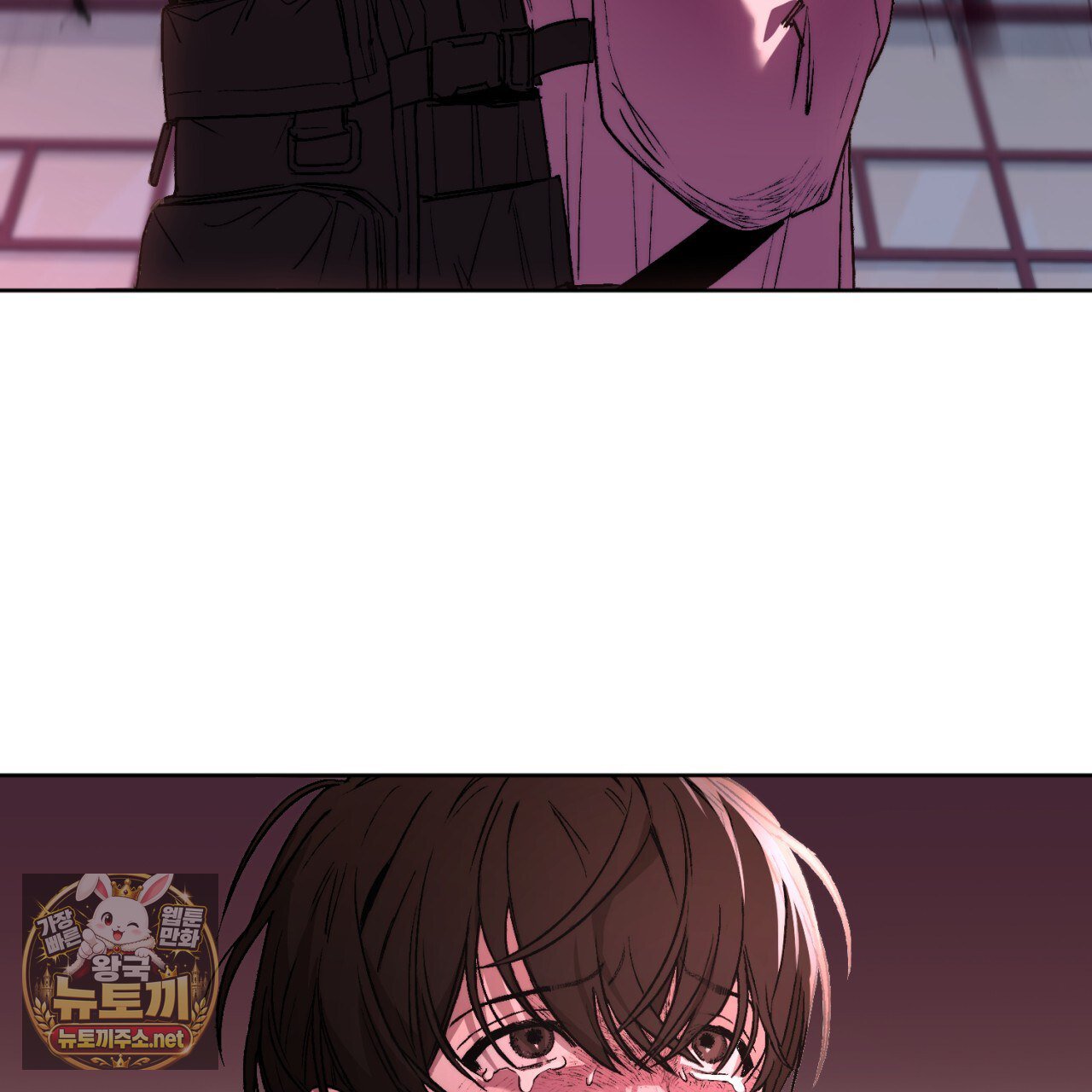 113.jpg
