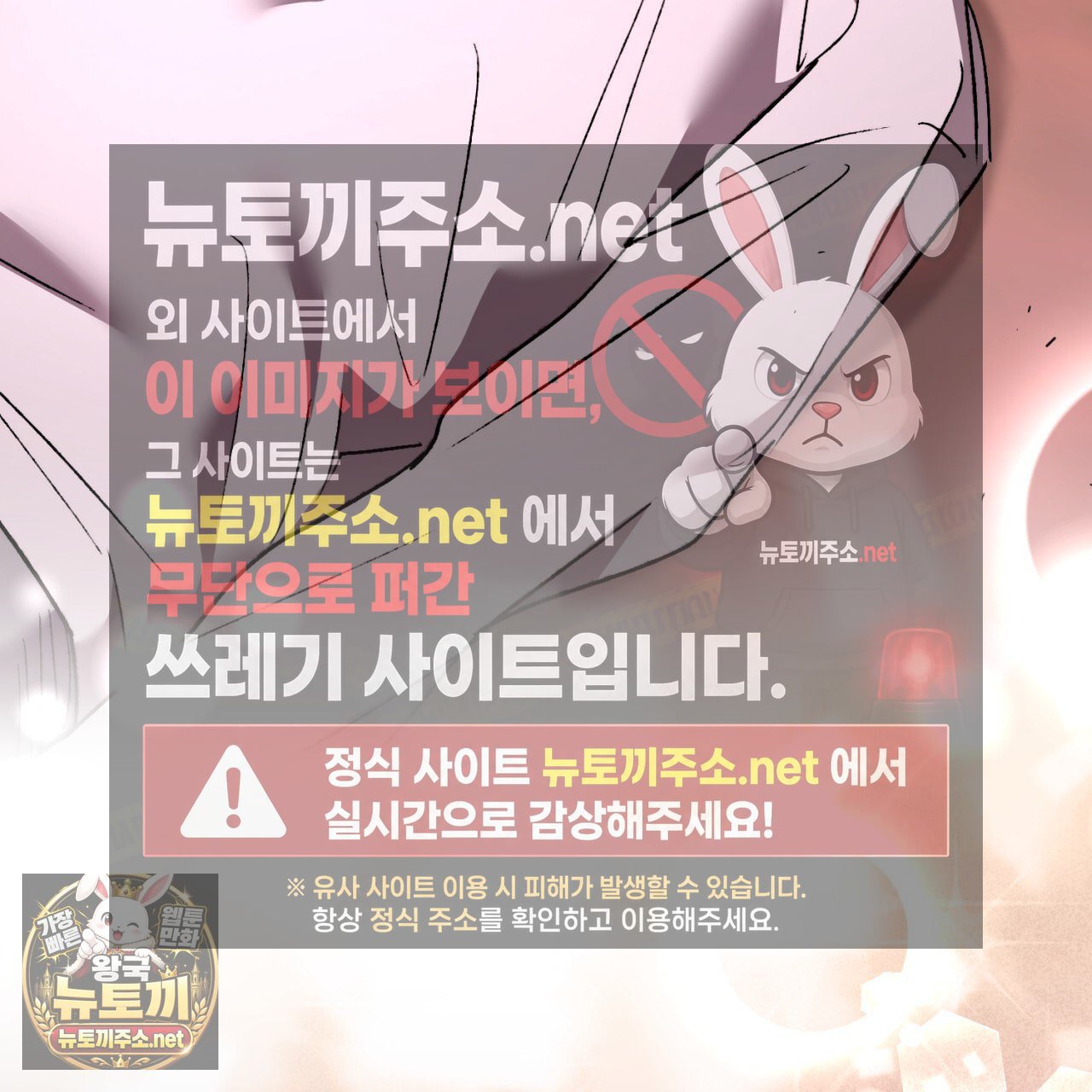 113.jpg