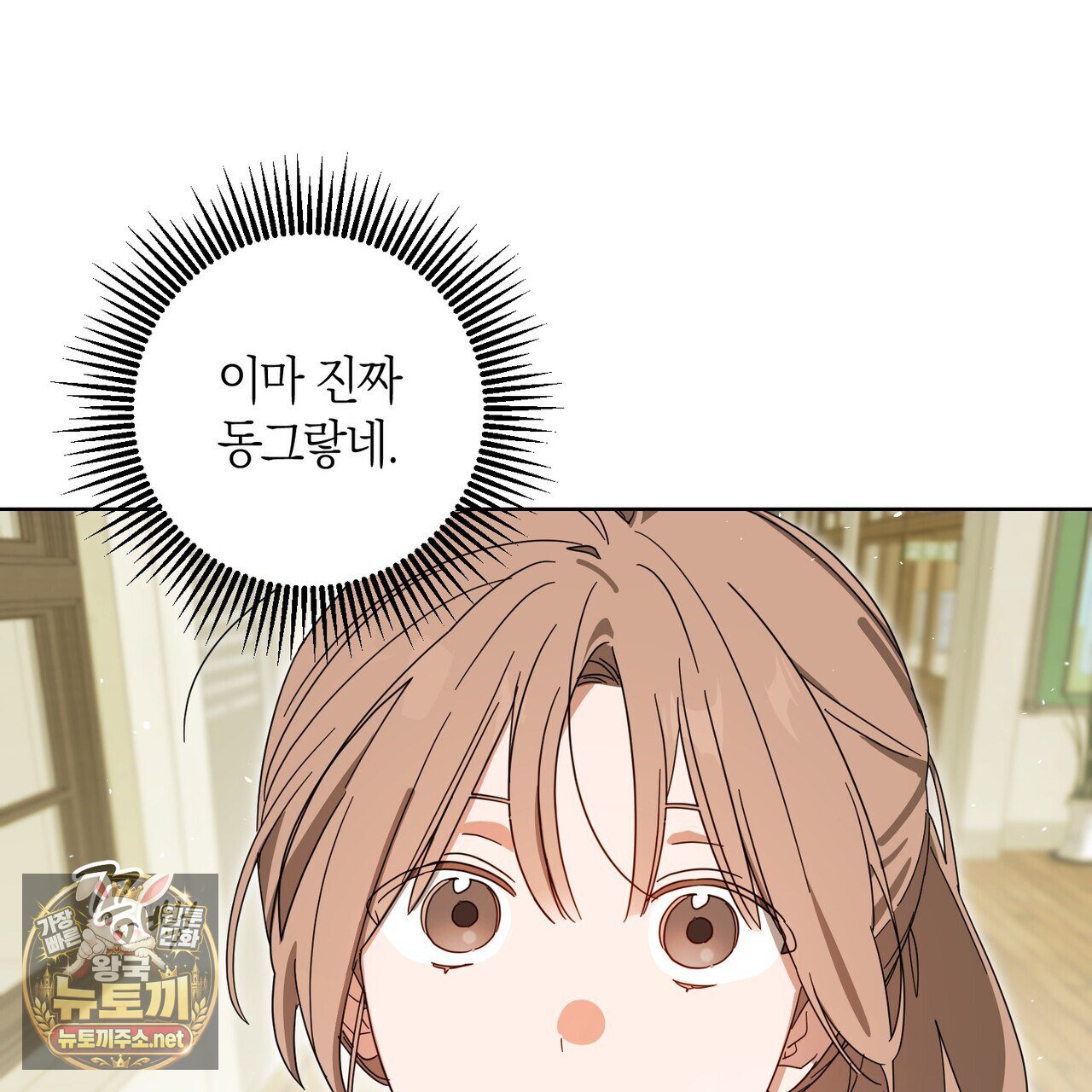 102.jpg