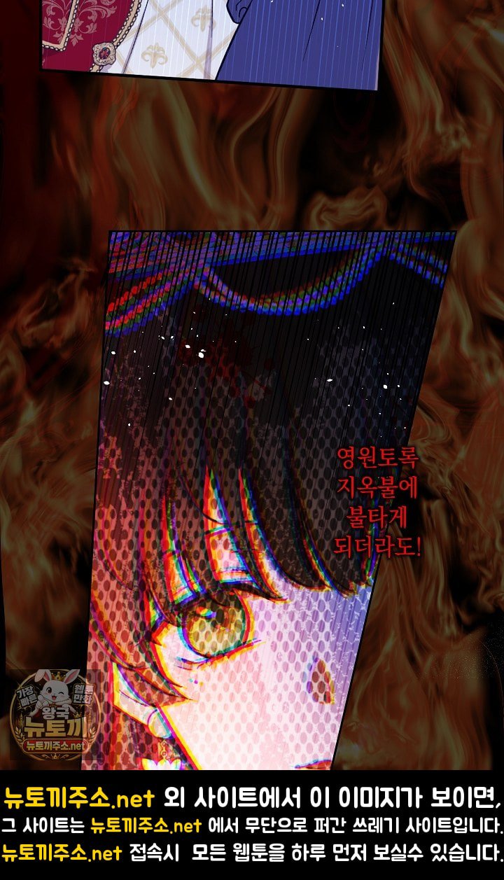223.jpg