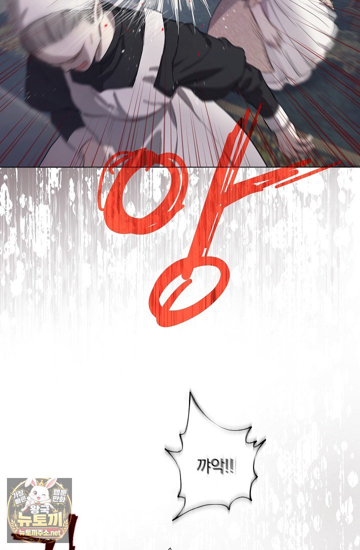 113.jpg