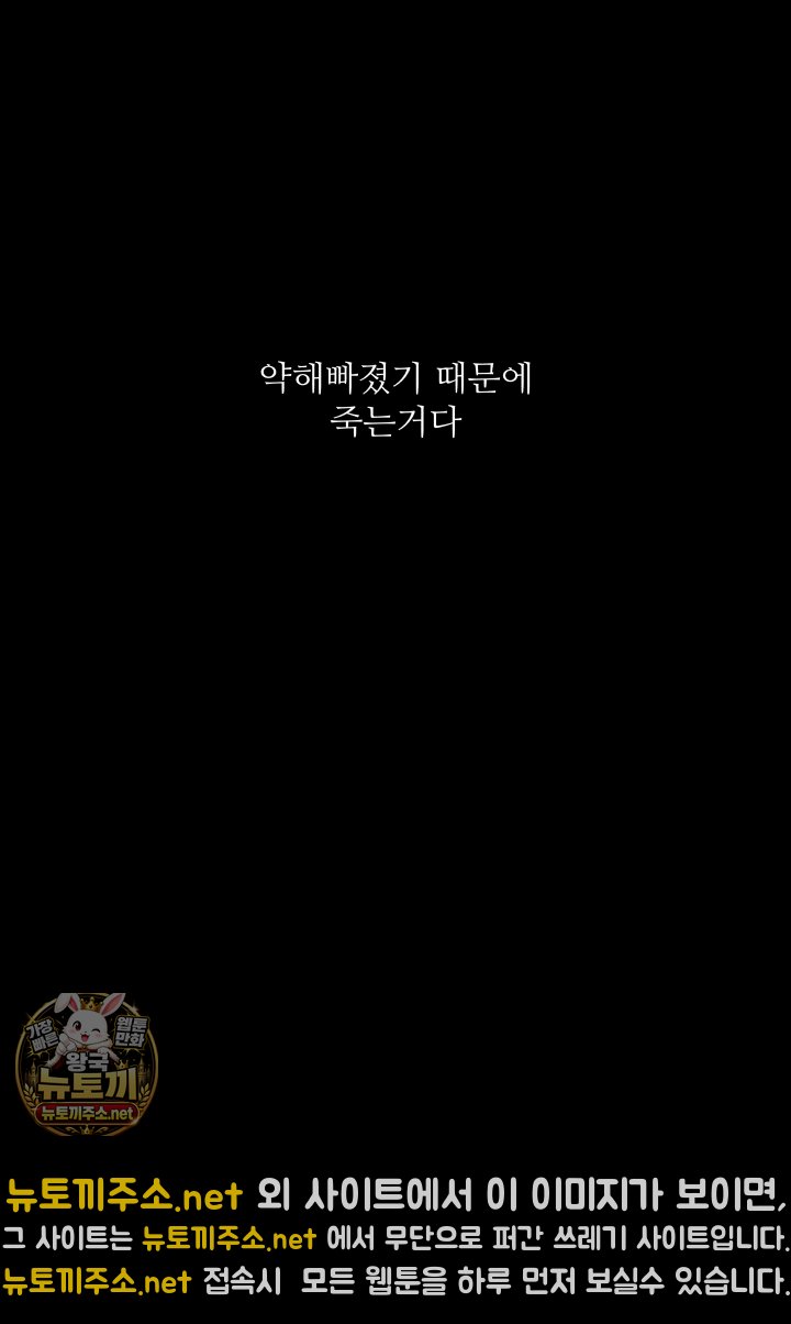 008.jpg
