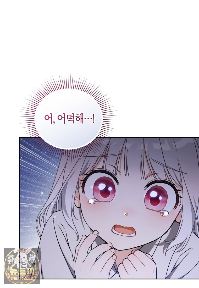 113.jpg