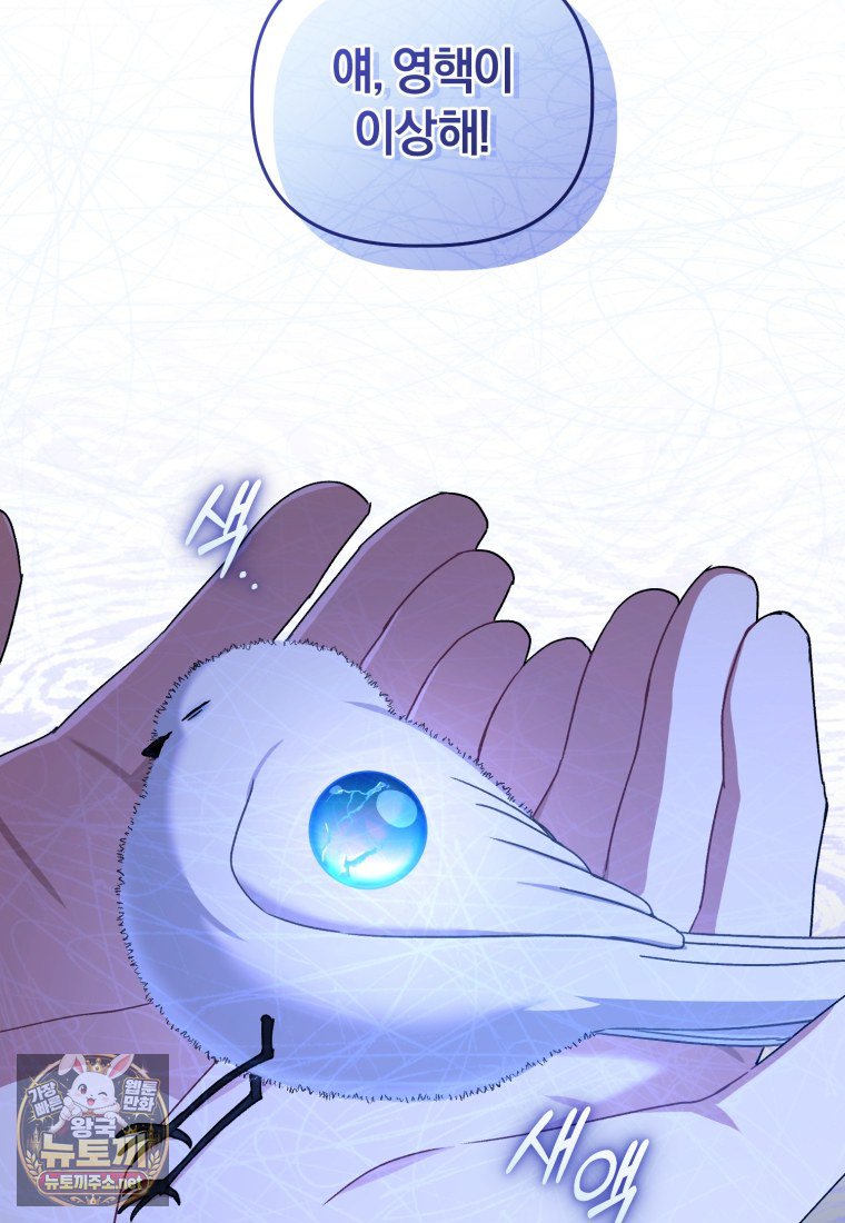 074.jpg